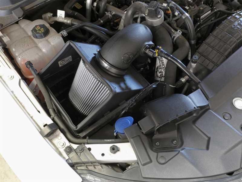 Rapid Induction Pro DRY S Air Intake System 52-10001D
